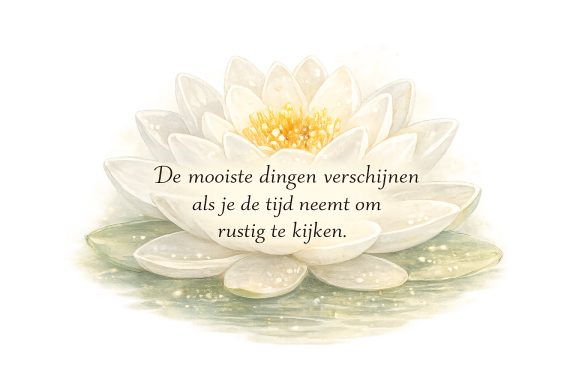 Witte waterlelie met een inspirerende tekst in het midden.